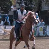 aqib_mushtaq06