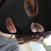 sofiiyaaa_2