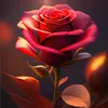 nadia.javed58