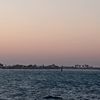 salmaragab197