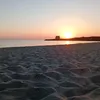 _lazzaromino_