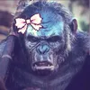 kenan.lkl