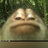 anyi.gerardi.torr