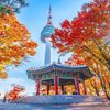 핫뉴스