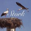 StorkVintage