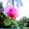 muslim.meye84