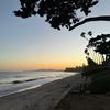 pauline_captures