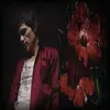 user736197306