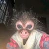 karen.dvila83