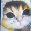 user2047621911