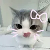 thuwminhnguyen10