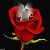 ricardo.sanchez.t13