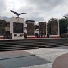 juniorquintero256