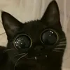 fera_2.0