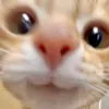 lamhcuti