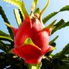 joko.susilo9457
