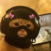 shinno.gaffie