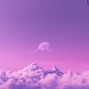 pinkvs133
