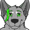 xrayhusky