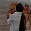 nosibaa1