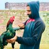 nabeel.mehar43