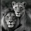 yagmur_damla_2020_2025