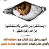 user4629320661922
