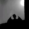 aldyy_12capricornus