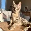 marie565953