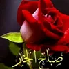 user481079310413
