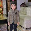 shayan.ahmed275