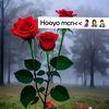 user268188362909