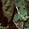 lost_arixon12bs