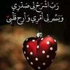 salih.ahmed15