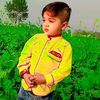 adnan.ali5278