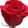 user7928400861188