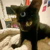 eli_k3ttt15