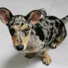 ngocthudepgai22