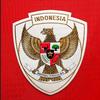 timnasindonesia.8