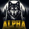 alpha_trader8