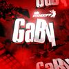 gabi_soft1k