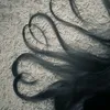 _arischaa_
