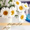 omfesal41