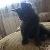 smotrrpptd3