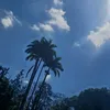 user_rique01daop