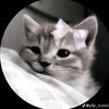 user33508390sumaiya