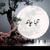 chand.ali3954
