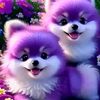 nisha2735