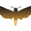 mrkmszros4