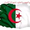 user8883423356375